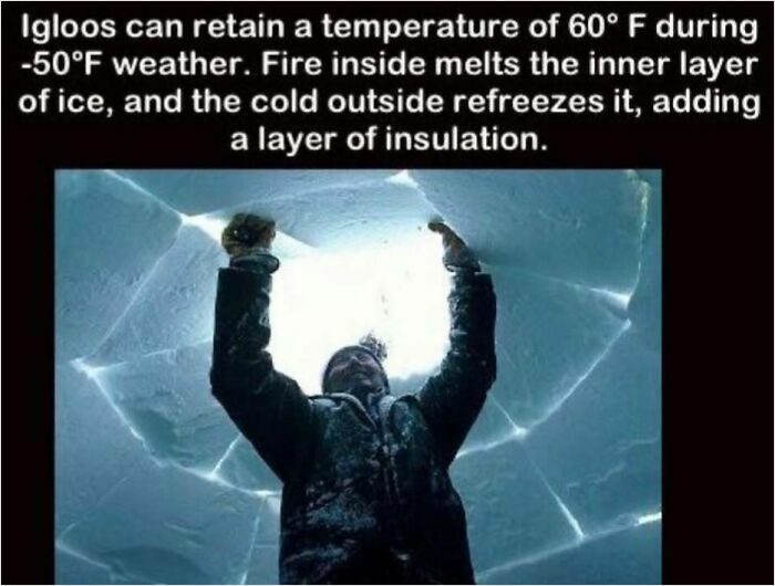Person in an igloo, demonstrating how insulation works with ice layers, as described in interesting facts related to temperature.