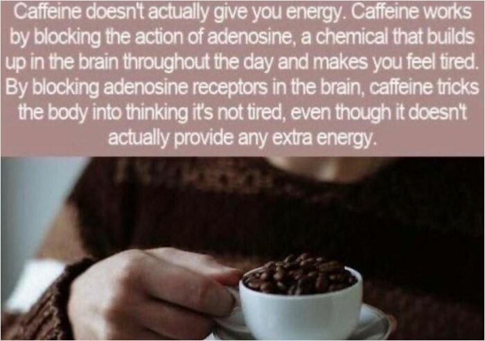Person holds cup of coffee, text explains how caffeine affects adenosine receptors in the brain, a curiosity about how things work.