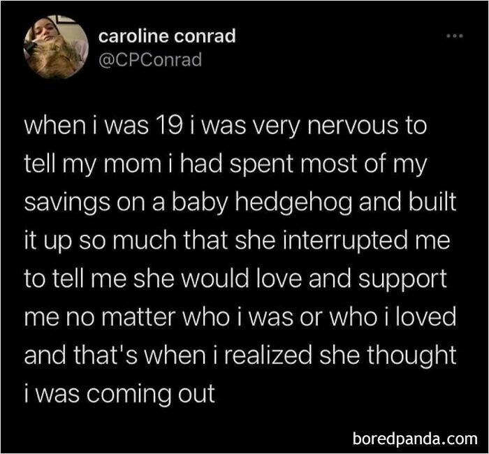 Funny meme about miscommunication between a person and their mom concerning a baby hedgehog purchase.