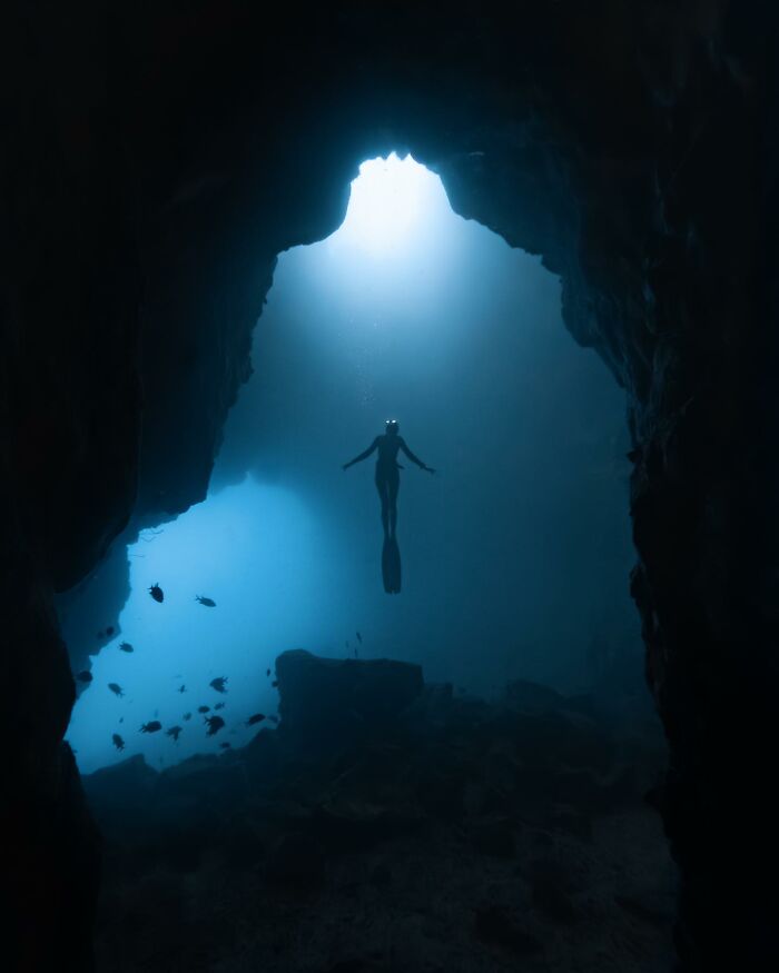 Silhouette of a diver surrounded by marine life in an underwater cave, with glowing blue water.