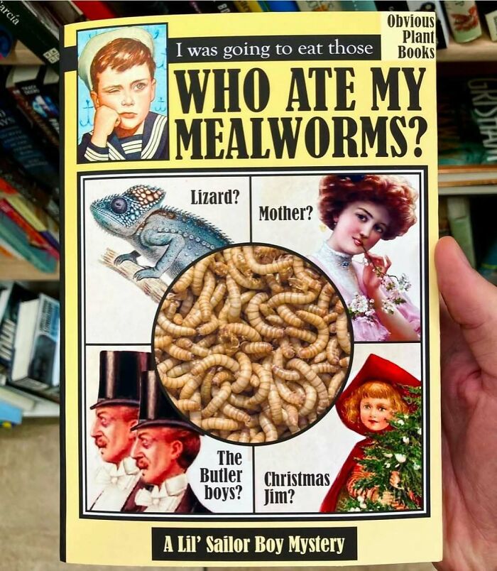 Hand holding a fake book with a humorous cover featuring mealworms and vintage-style illustrations in a store setting.