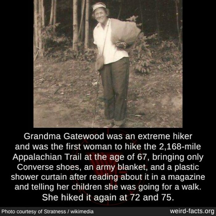 Elderly woman hiking in the woods, first to hike Appalachian Trail solo at 67, showcasing weird and random facts.
