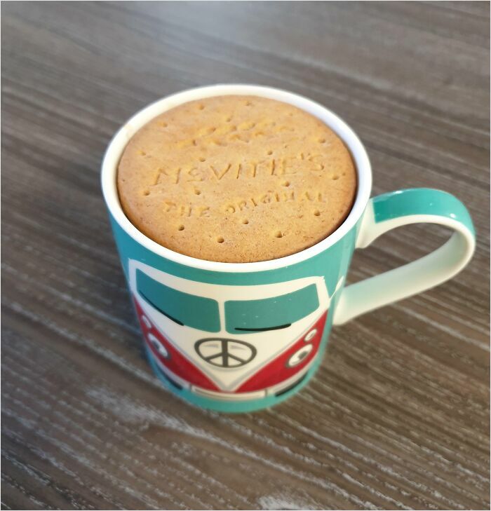 Biscuit perfectly fitting on top of a teal mug with a retro design, displaying a satisfying-perfect-fit moment.