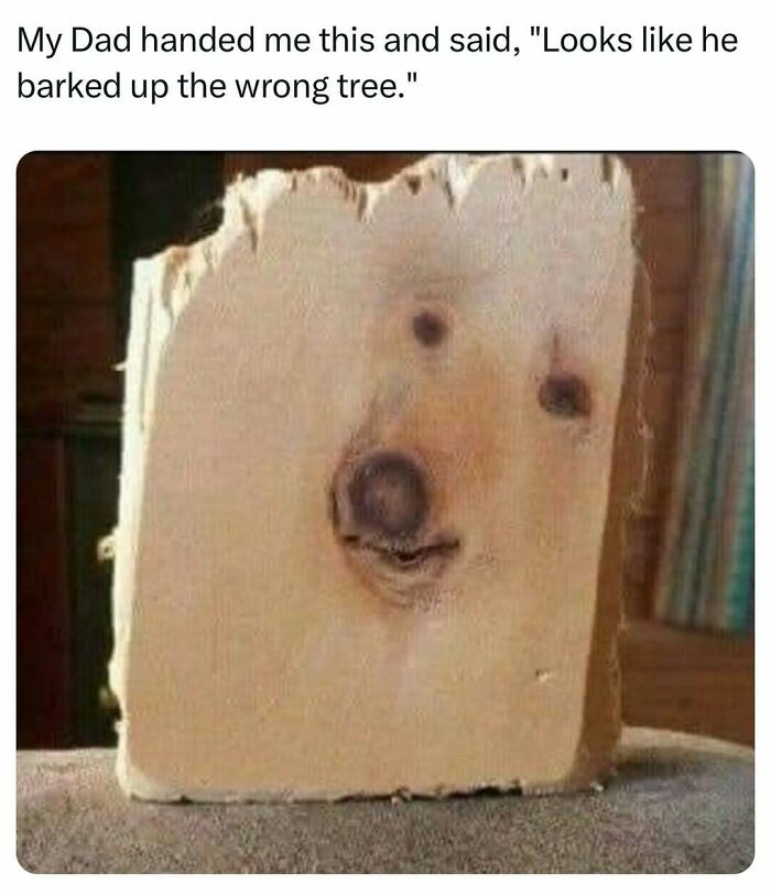 Wood knot resembling a dog's face with a dad joke caption, showcasing classic dad humor.