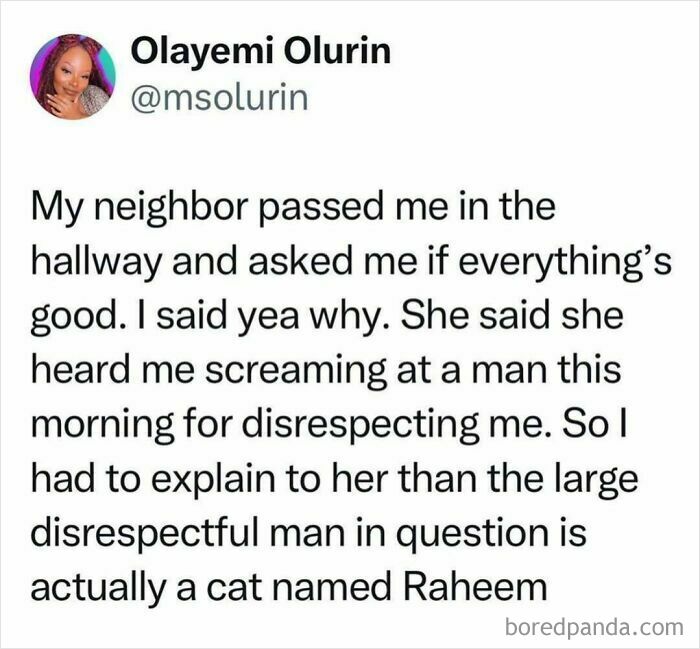 Hilariously dumb post about mistaking a cat for a man named Raheem, shared on IG.