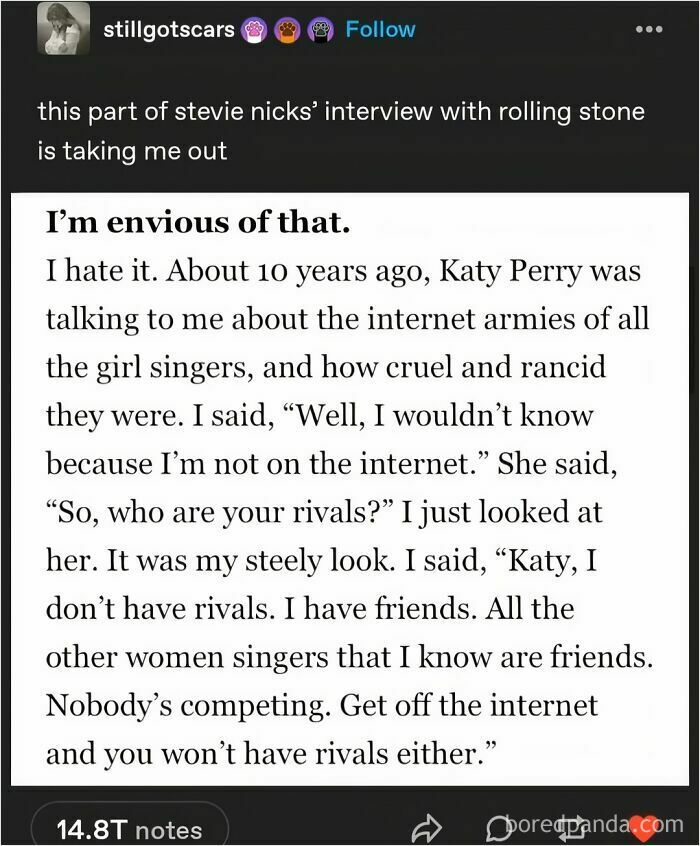 Tumblr post discussing an interview with Stevie Nicks about internet culture and rivalry in the music world.