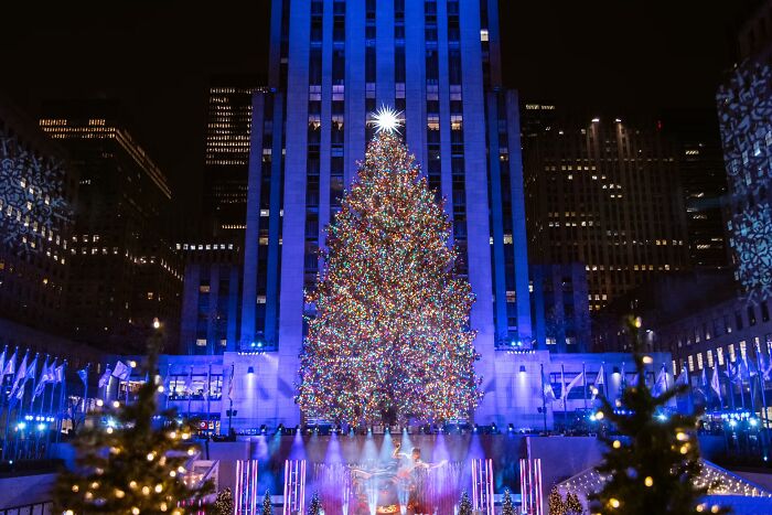 Beautifully lit Christmas tree in a city plaza, showcasing festive holiday decorations.