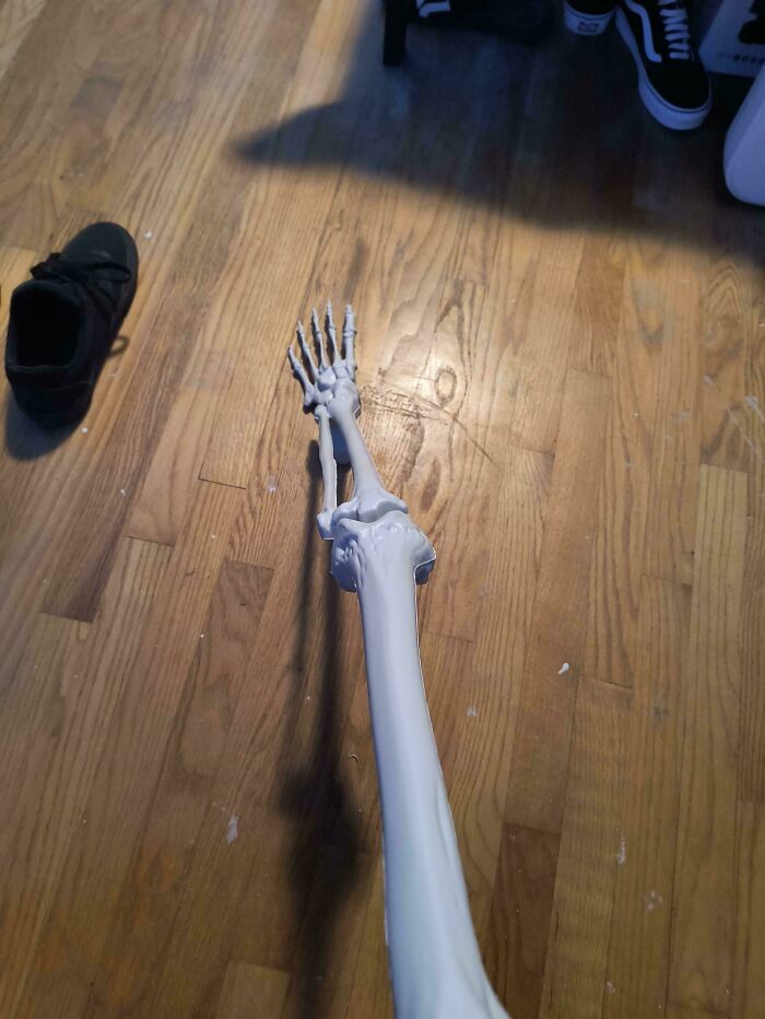 Plastic skeleton arm reaching out on a wooden floor with a shoe nearby, exemplifying mundane imagery.