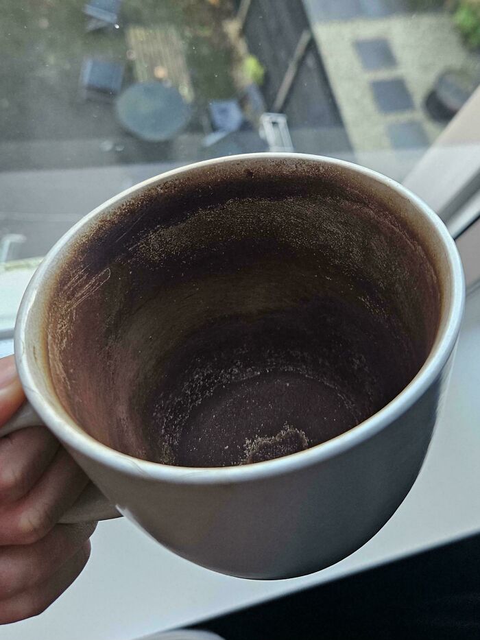 My Not Boyfriend Doesn't Ever Wash Or Rinse His Tea Mug