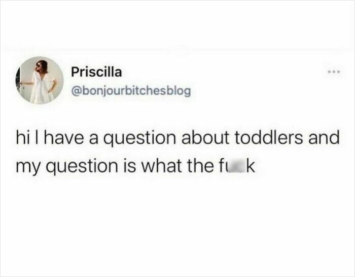 Social media post humorously questioning toddler behavior, reflecting parenting chaos turned into a meme.