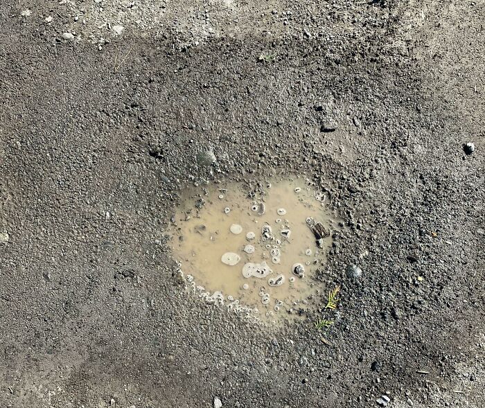 A small, muddy puddle on a dirt road, showcasing uninteresting scenery.