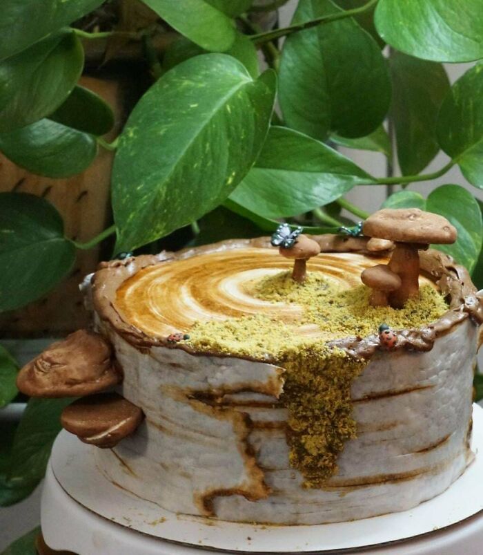 Creative woodland-themed cake with edible mushrooms and decorations, capturing bakers' culinary concoctions at another level.