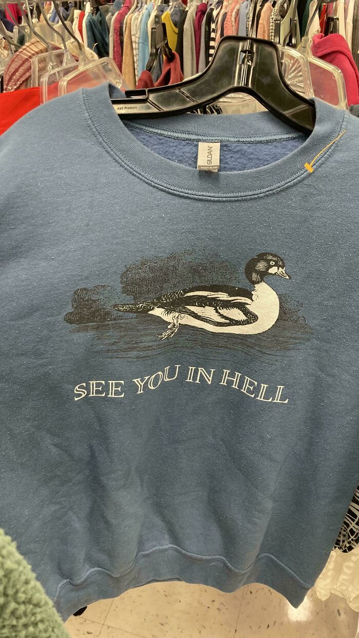 Blue thrifted sweatshirt with duck illustration and “See You in Hell” text, hanging on a rack in a clothing store.