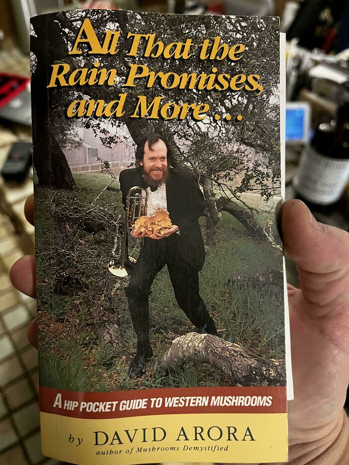 Terrible book cover featuring a man with a trumpet and mushrooms outdoors.