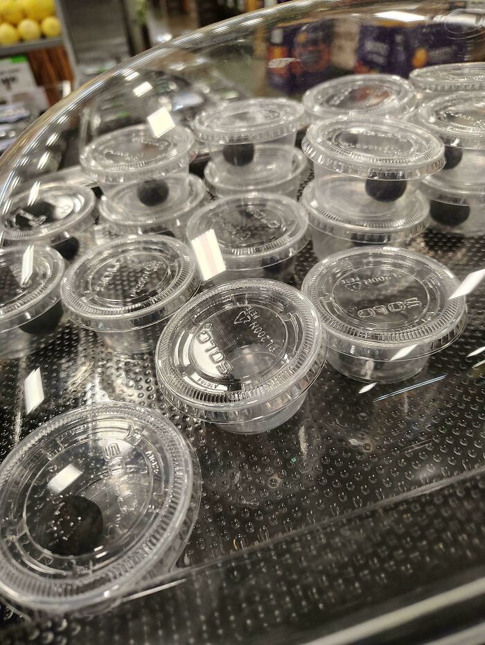 Plastic containers each holding a single blueberry, highlighting consumerism.