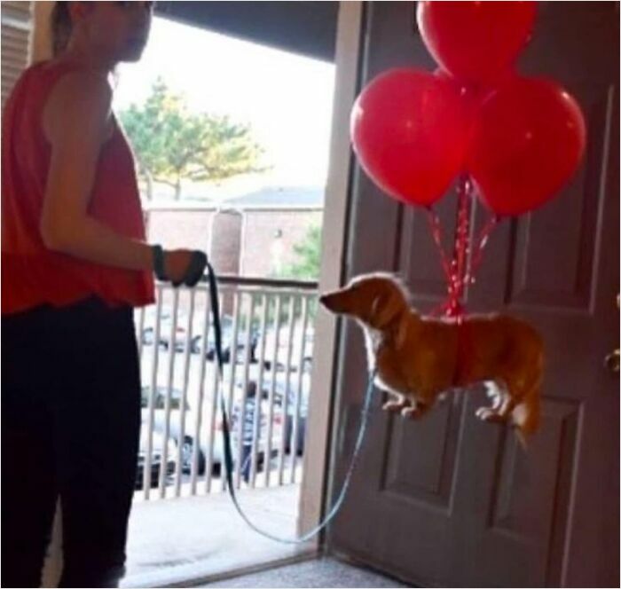 Images-Could-Be-Album-Covers