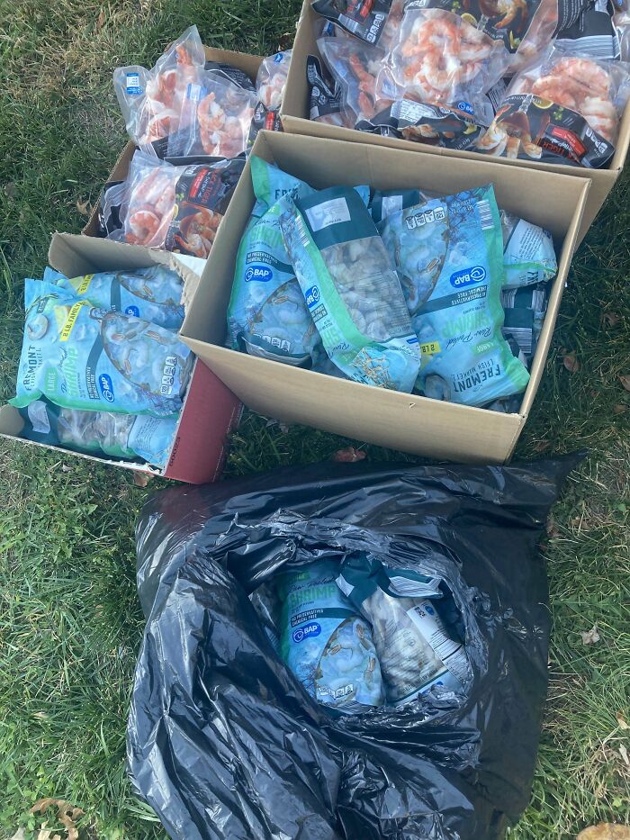 Dumpster diving find with boxes and bags of frozen shrimp on grass.