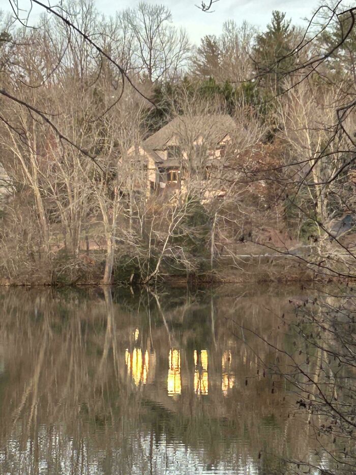 House reflecting on a calm lake surrounded by leafless trees, creating a mildly interesting and serene scene.