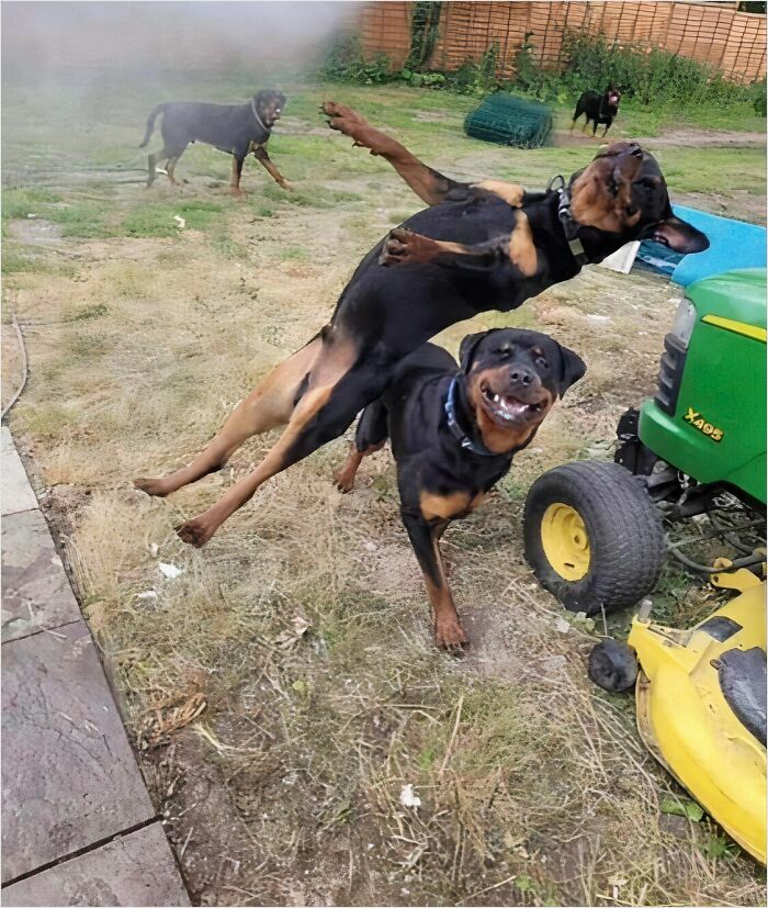 Images-Could-Be-Album-Covers