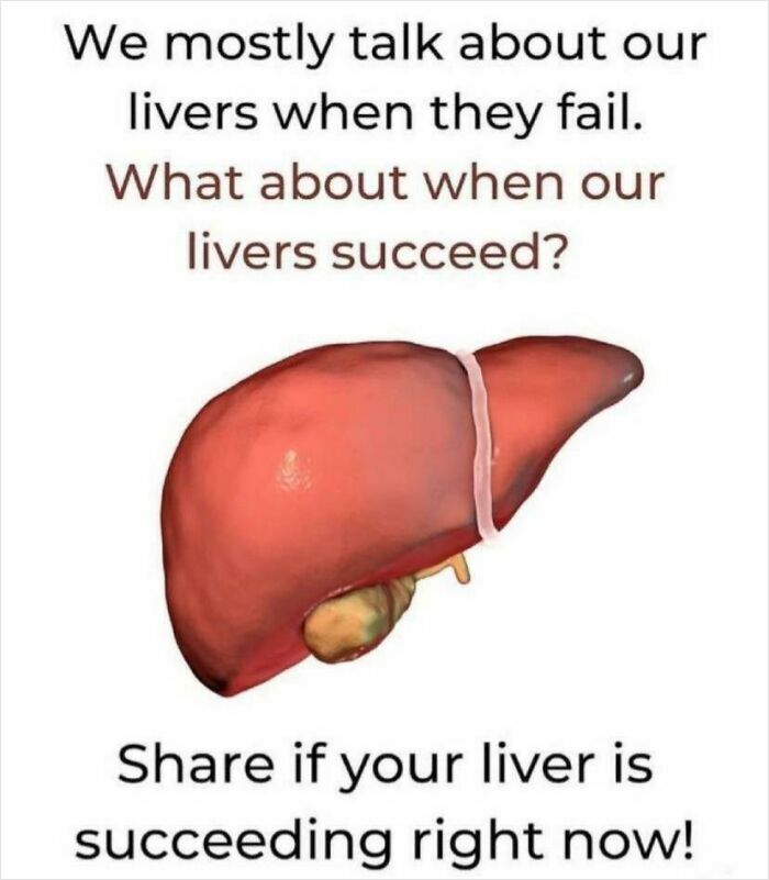 Illustration of a liver with humorous text discussing the success of our livers.