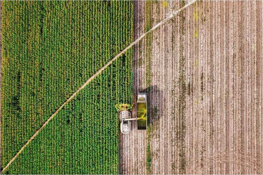 Lens Of Justice: F. Dilek Yurdakul’s Journey Of Advocacy Through Art