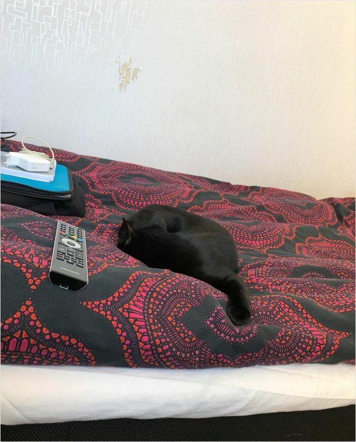 Black cat on an intricate bedspread next to a remote, resembling bad renders in real life.