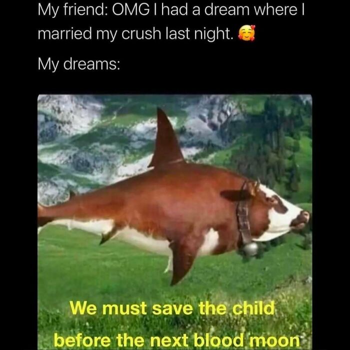 Funny meme showing a cow with a shark fin and a caption about dreams, relating to therapy memes and humor online.