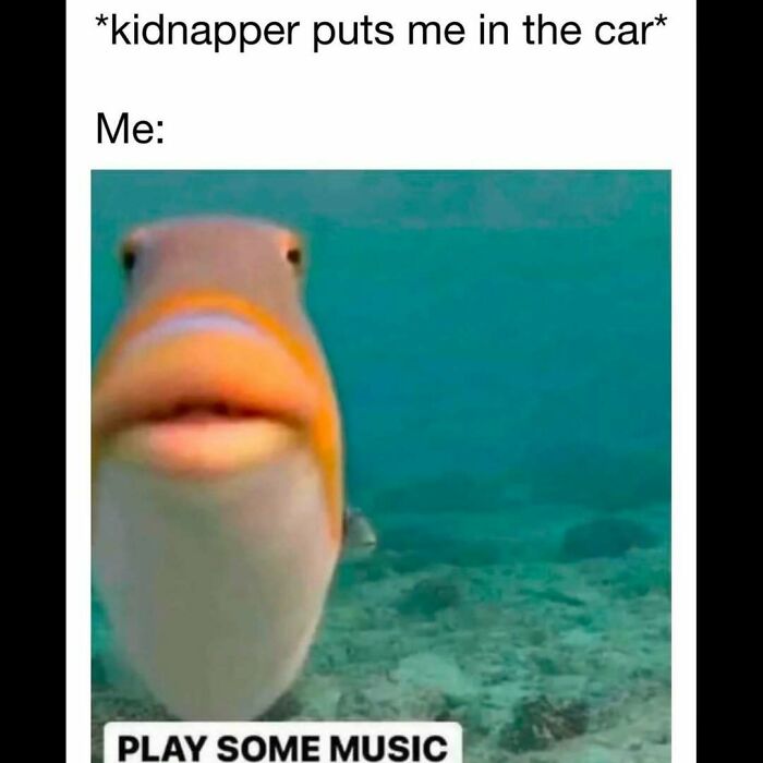 Funny memes relatable moment with fish underwater captioned play some music, reflecting therapy is expensive humor.