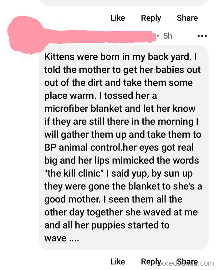 Screenshot of a wild neighbor post sharing a story about kittens, blankets, and animal control from the neighbors app.