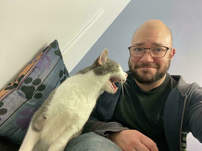A man wearing glasses sitting next to a cat loudly meowing, showcasing cats who couldn't keep their meows to themselves.