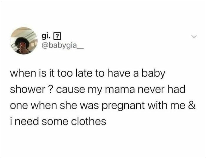 Funny-Parenthood-Memes-Pregnantchicken
