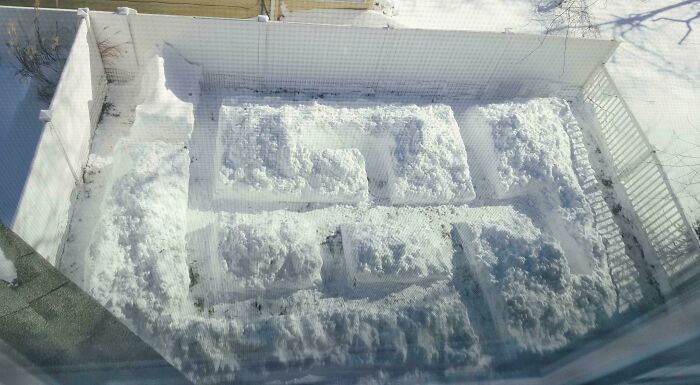 Snow maze for pets in a backyard, highlighting spoiled-pets' luxury during winter.