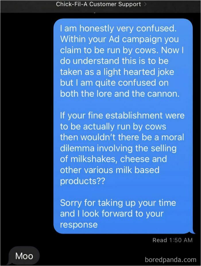 Customer texts Chick-Fil-A support, questioning cow-themed ad; humorous reply says "Moo." Best-Texts-Of-2024.