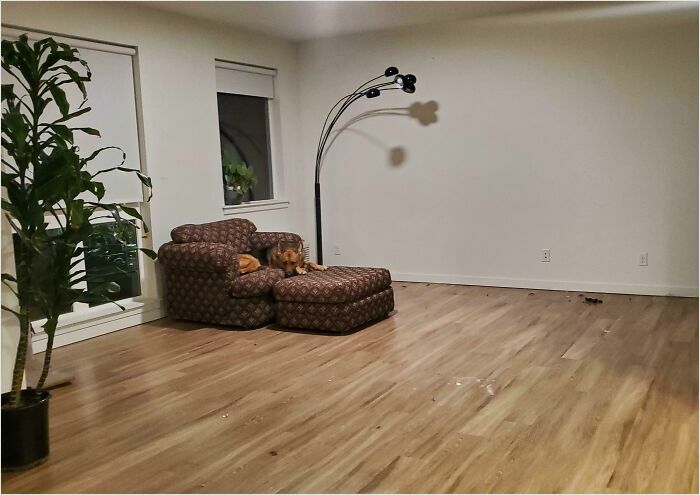 Mi compañero de piso se ha mudado sin avisar cuando quedaban 12 meses de contrato, se ha llevado todos los muebles, no ha pagado su mitad del alquiler y me acaban de despedir por recortes presupuestarios