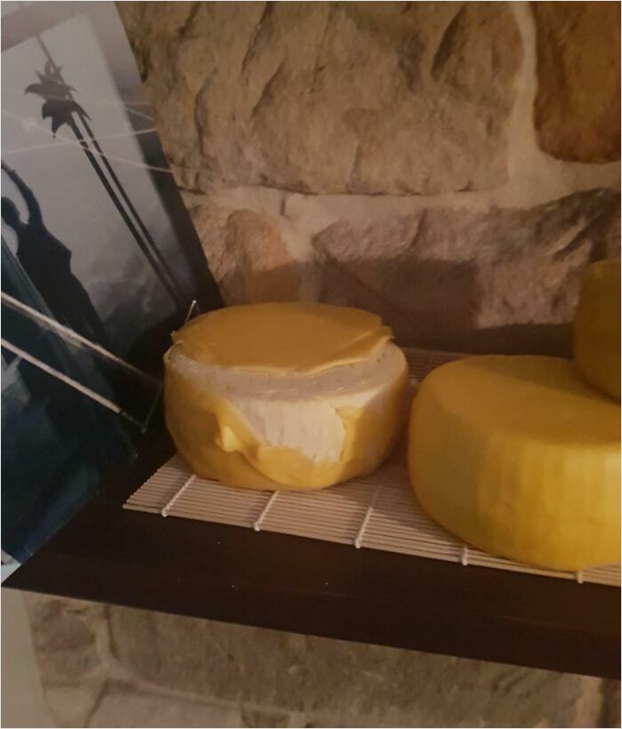 Mi compañero de piso trajo un par de amigos, está bien, ¡pero destruyó mi queso elaborado durante el aislamiento! Estos ya habían estado envejeciendo durante 2,5 meses y estaban casi listos.