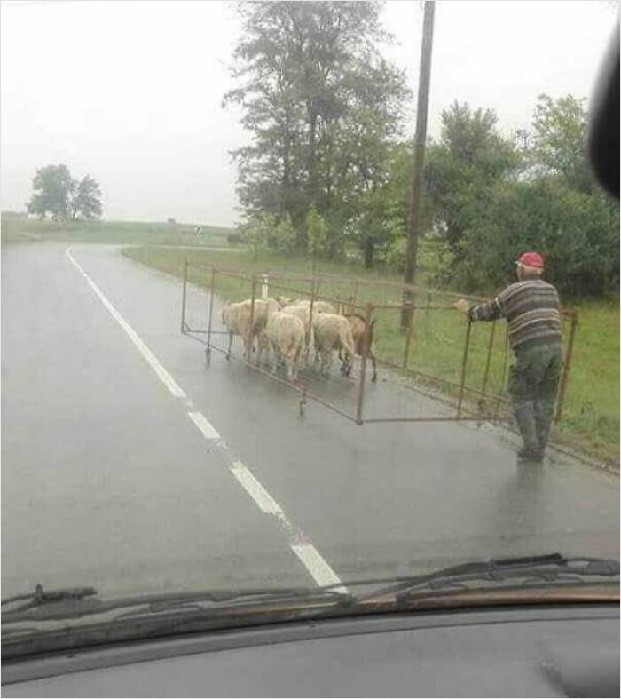 If It Works It's Not Stupid!