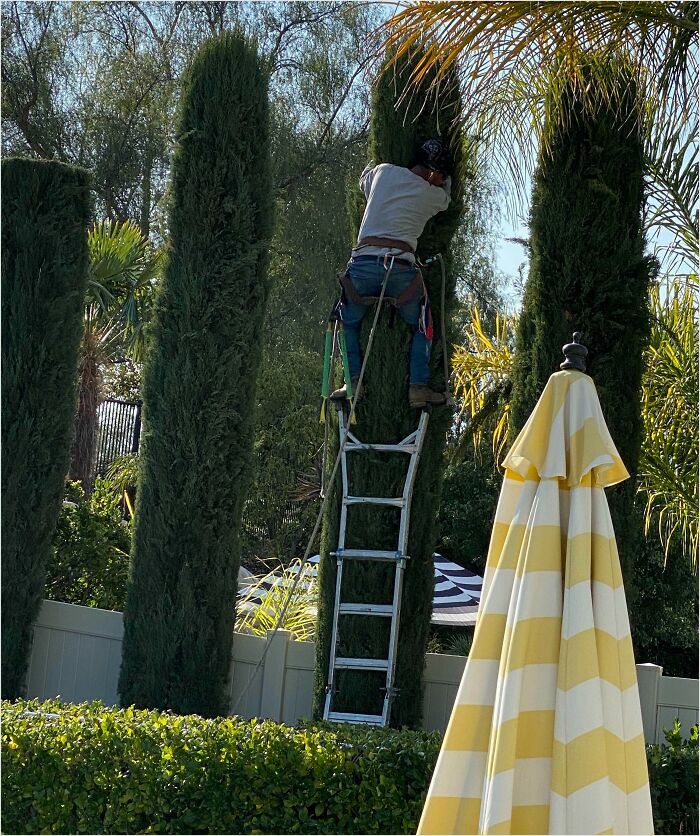 What’s Wrong With This Photo?