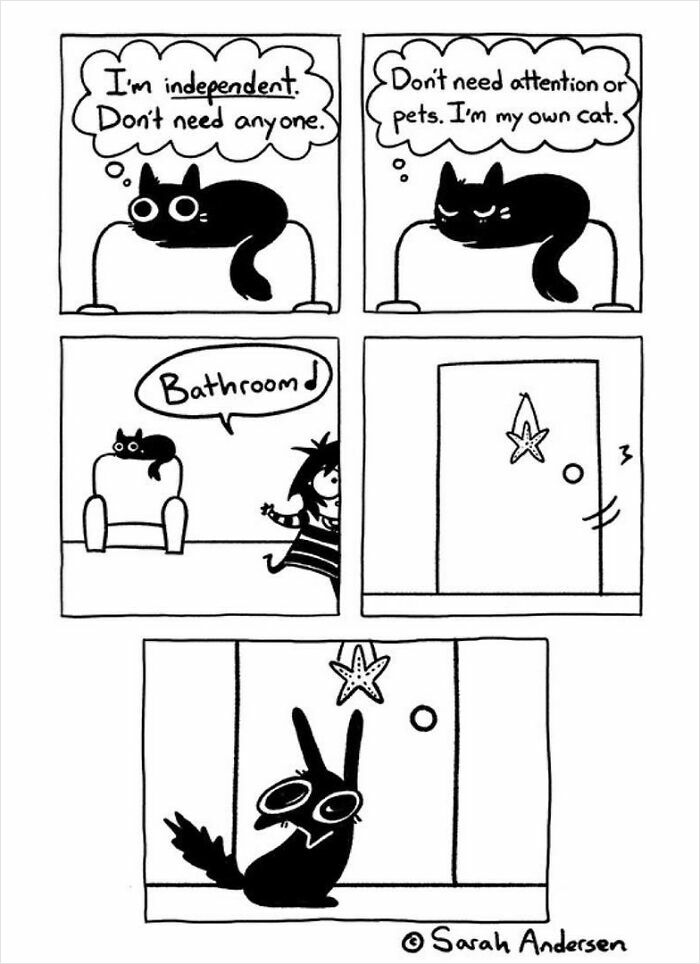 Comic illustrating cat's independence craving attention, by Sarah Andersen.