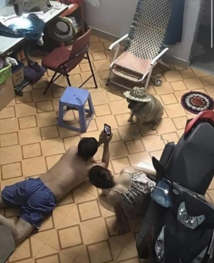 Images-Could-Be-Album-Covers