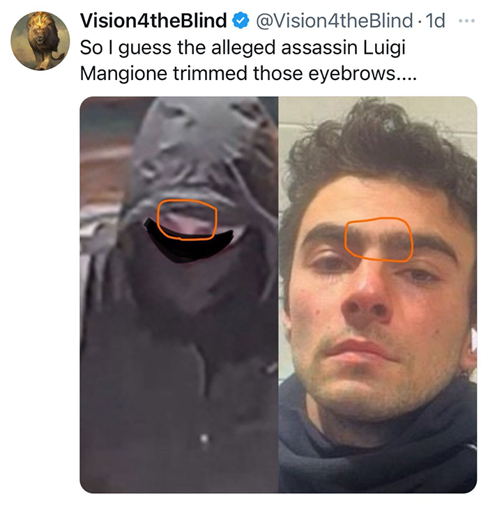 &ldquo;The Plot Thickens&rdquo;: Difference Between Masked CEO Assassin And Luigi Mangione Goes Viral