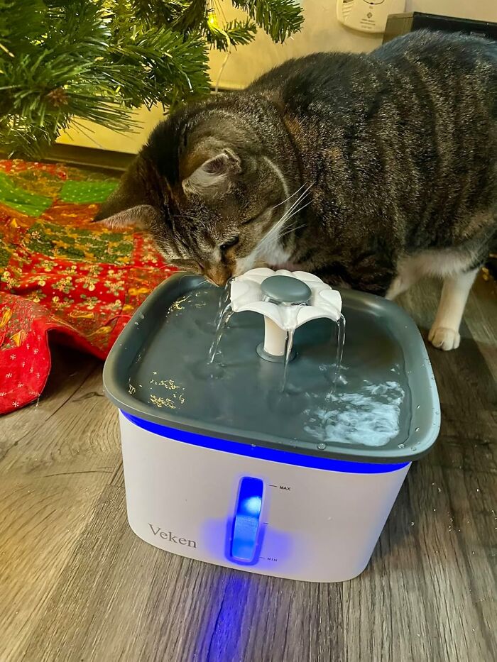 Cat drinking from an automatic water fountain, one of the paw-fect gifts for pets and their obsessed humans.