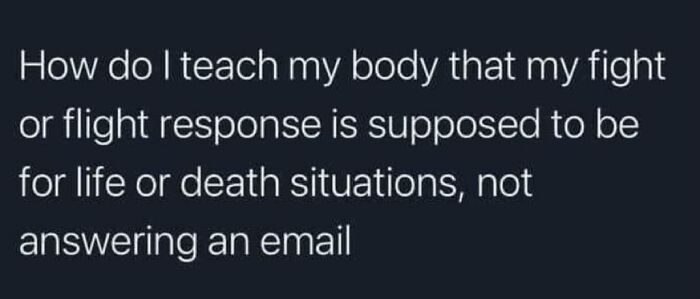 Text meme humorously questions how to calm fight-or-flight response when reading emails; relates to spicy brain concepts.