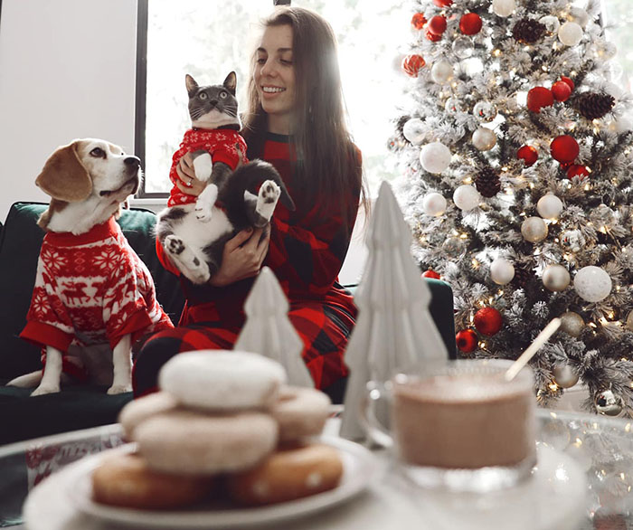 Cat and dog in matching sweaters with owner beside a Christmas tree, showcasing shared traits in festive setting. Cat and dog in matching sweaters with owner beside a Christmas tree, showcasing shared traits in festive setting.
