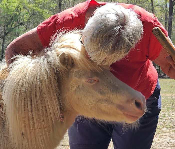 Woman comforting a baby horse she nursed back to health, showing care and compassion outdoors.