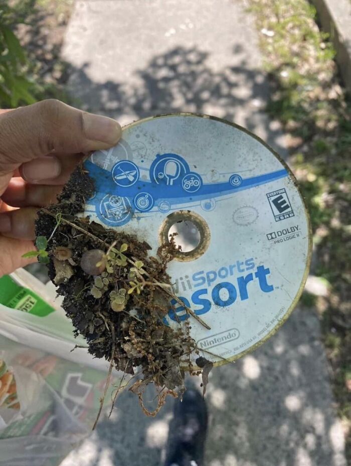 Images-Could-Be-Album-Covers