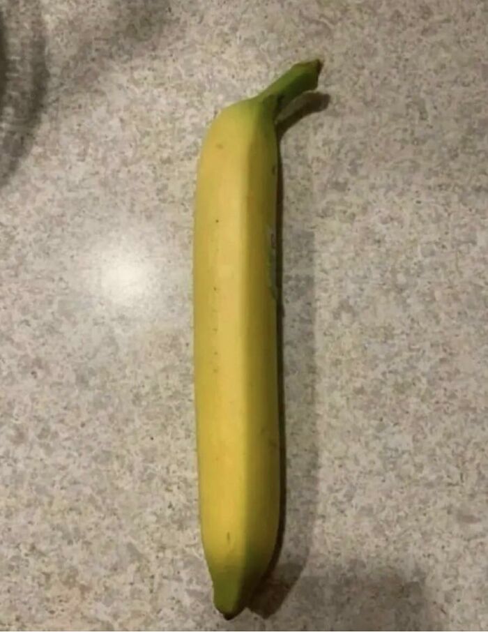 Images-Could-Be-Album-Covers