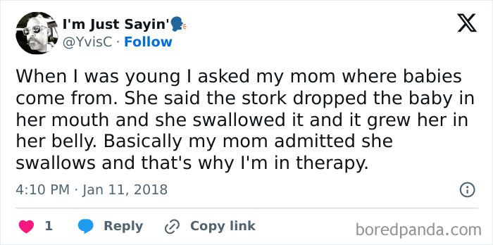 A humorous tweet about a mother's explanation of where babies come from, involving a stork and therapy.