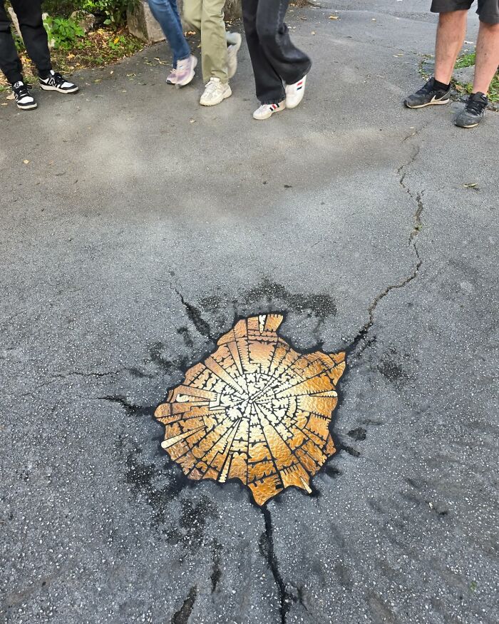 People standing near a c*****d sidewalk repaired with vibrant mosaic art depicting a tree stump.