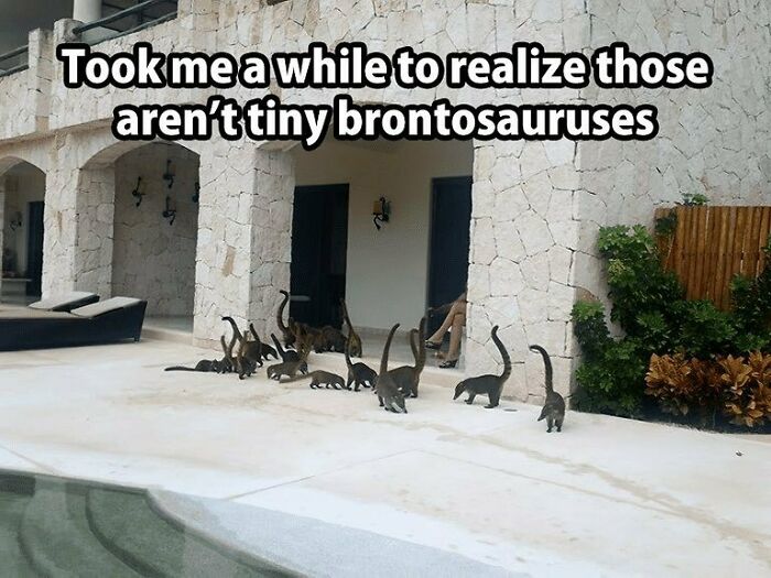 A group of small animals mistaken for tiny dinosaurs in a humorous setting outside a stone building.