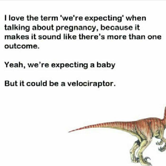 Funny dinosaur meme with a joke about expecting a baby or a velociraptor.